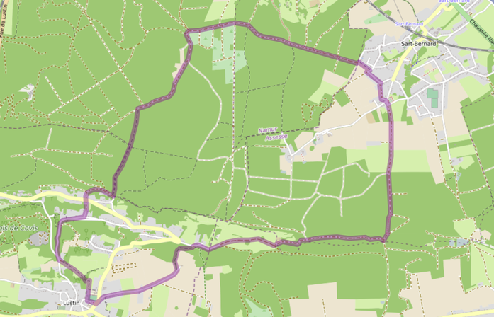 Grand circuit Lustin - Les Arches - Vierge Noire - Sart Bernard - Acremonts- 12,1 km.png